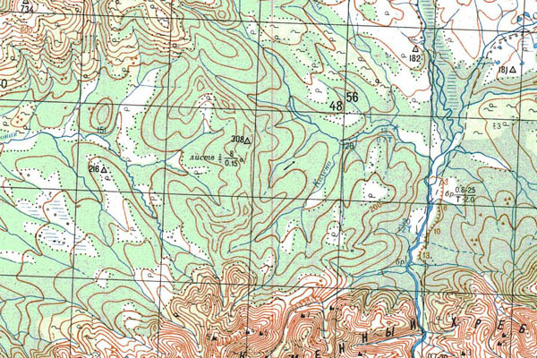 Уменьшенный фрагмент представленной топографической карты O-55-06 - Trasa.ru