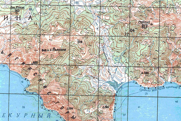 Уменьшенный фрагмент представленной топографической карты O-56-11 - Trasa.ru