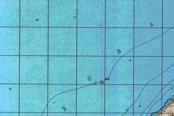 Уменьшенный фрагмент представленной топографической карты O-57-10 - Trasa.ru