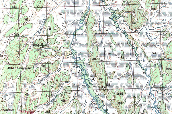 Уменьшенный фрагмент представленной топографической карты O-57-31 - Trasa.ru