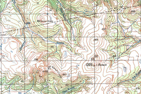 Уменьшенный фрагмент представленной топографической карты O-57-33 - Trasa.ru