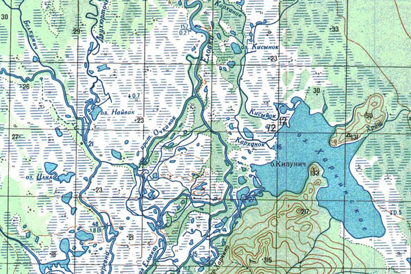 Уменьшенный фрагмент представленной топографической карты O-57-35 - Trasa.ru