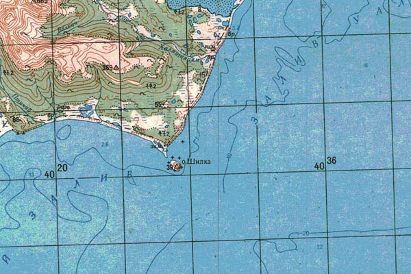 Уменьшенный фрагмент представленной топографической карты O-58-02 - Trasa.ru