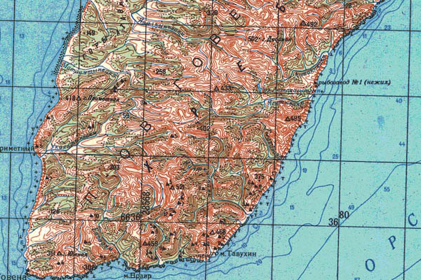 Уменьшенный фрагмент представленной топографической карты O-58-05 - Trasa.ru