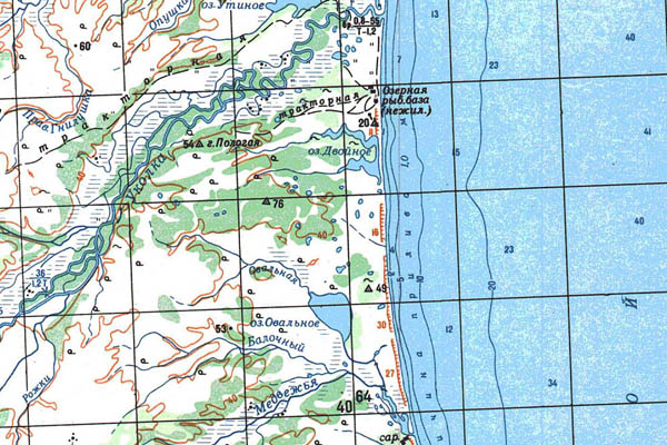 Уменьшенный фрагмент представленной топографической карты O-58-25 - Trasa.ru