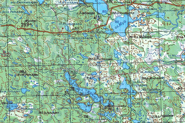 Уменьшенный фрагмент представленной топографической карты P-36-01_02 - Trasa.ru