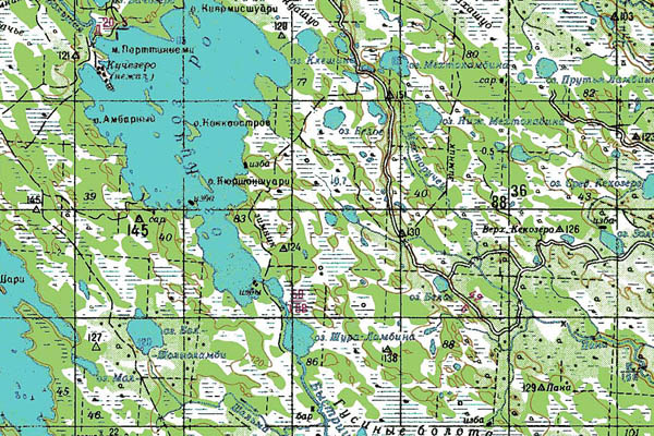 Уменьшенный фрагмент представленной топографической карты P-36-03_04 - Trasa.ru