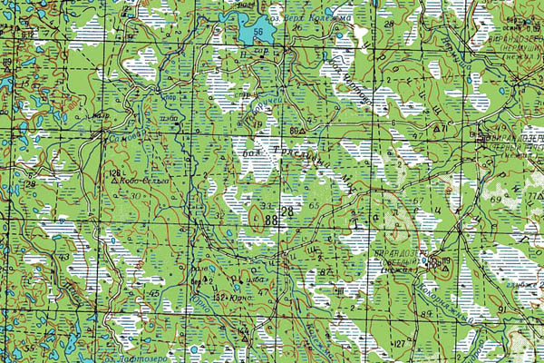 Уменьшенный фрагмент представленной топографической карты P-36-05_06 - Trasa.ru