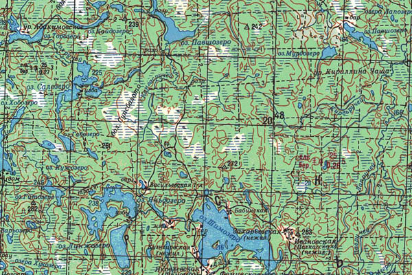 Уменьшенный фрагмент представленной топографической карты P-36-35_36 - Trasa.ru