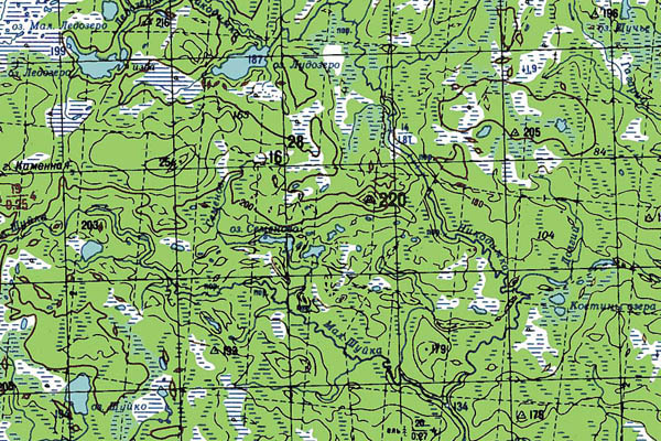 Уменьшенный фрагмент представленной топографической карты P-37-07_08 - Trasa.ru