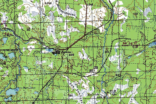 Уменьшенный фрагмент представленной топографической карты P-37-25_26 - Trasa.ru