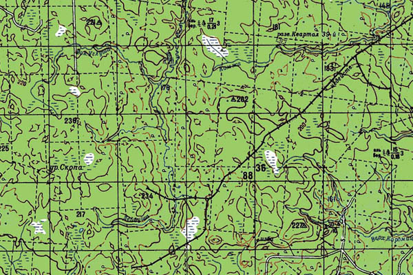 Уменьшенный фрагмент представленной топографической карты P-37-27_28 - Trasa.ru