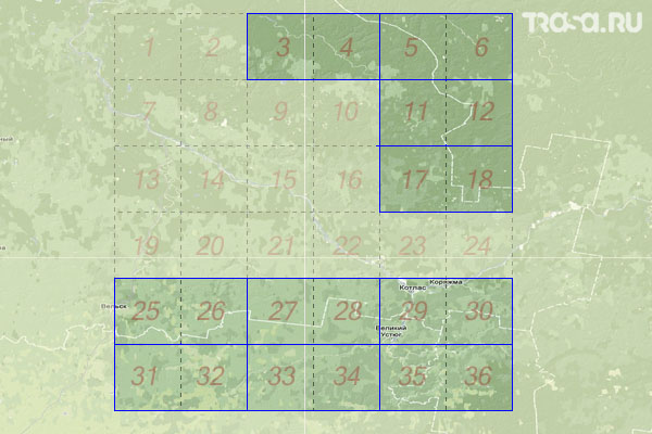 Набор топографических карт квадрата P-38 - Trasa.ru