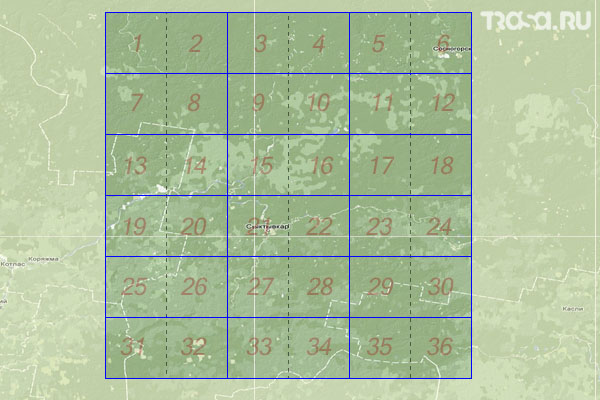 Набор топографических карт квадрата P-39 - Trasa.ru