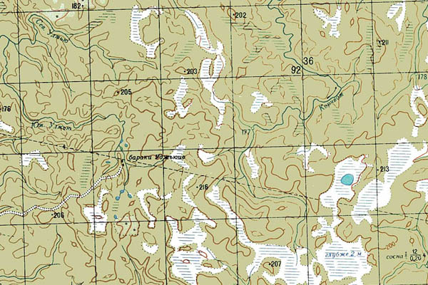 Уменьшенный фрагмент представленной топографической карты P-39-01_02 - Trasa.ru