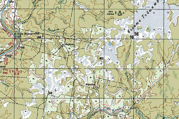 Уменьшенный фрагмент представленной топографической карты P-39-09_10 - Trasa.ru