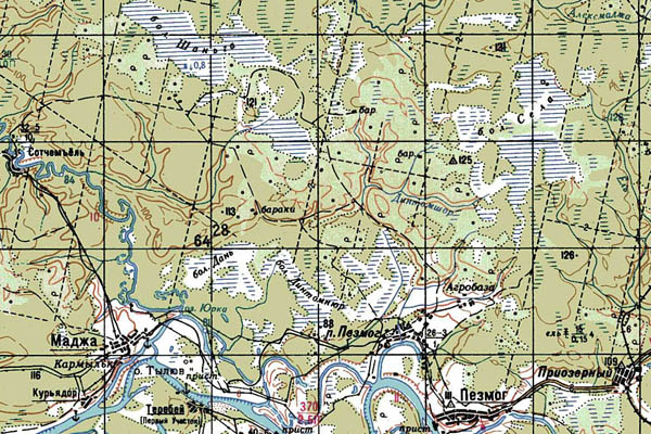 Уменьшенный фрагмент представленной топографической карты P-39-21_22 - Trasa.ru
