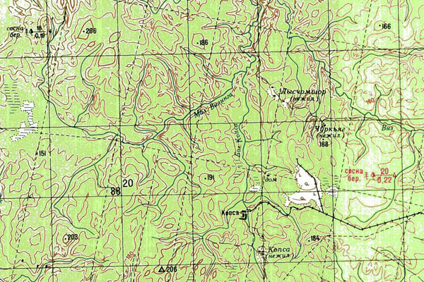 Уменьшенный фрагмент представленной топографической карты P-39-25_26 - Trasa.ru