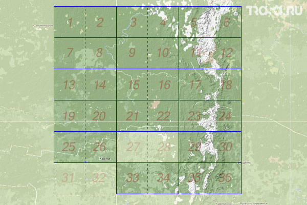 Набор топографических карт квадрата P-40 - Trasa.ru