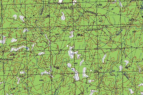 Уменьшенный фрагмент представленной топографической карты P-40-01_02 - Trasa.ru