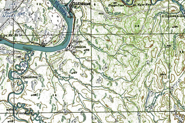 Уменьшенный фрагмент представленной топографической карты P-40-03_04 - Trasa.ru