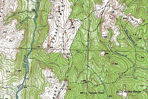 Уменьшенный фрагмент представленной топографической карты P-40-05_06 - Trasa.ru