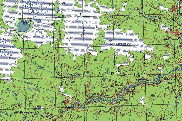 Уменьшенный фрагмент представленной топографической карты P-40-07_08 - Trasa.ru