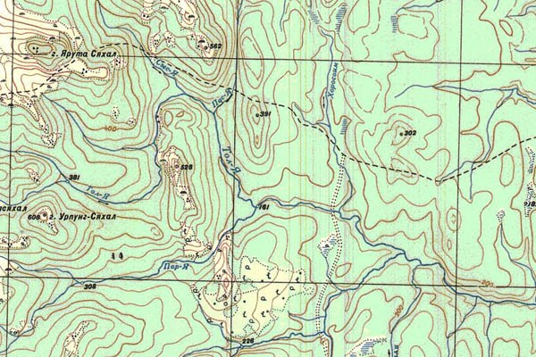 Уменьшенный фрагмент представленной топографической карты P-40-11_12 - Trasa.ru
