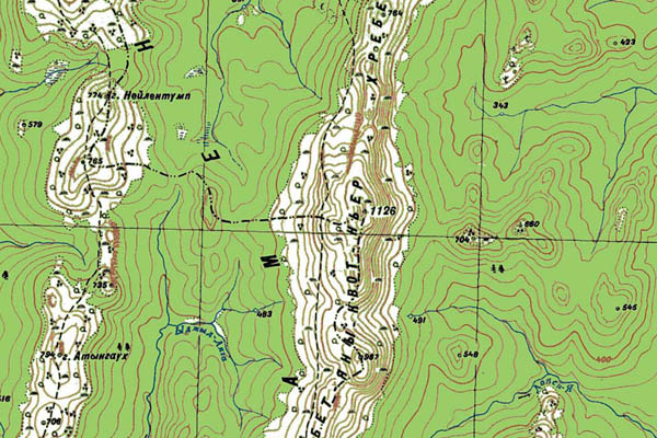 Уменьшенный фрагмент представленной топографической карты P-40-17_18 - Trasa.ru