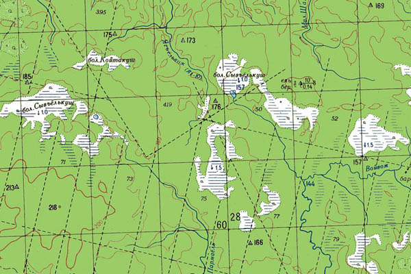 Уменьшенный фрагмент представленной топографической карты P-40-19_20 - Trasa.ru