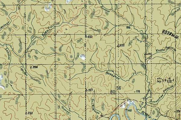 Уменьшенный фрагмент представленной топографической карты P-40-21_22 - Trasa.ru