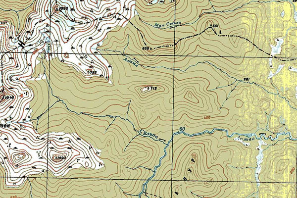 Уменьшенный фрагмент представленной топографической карты P-40-23_24 - Trasa.ru