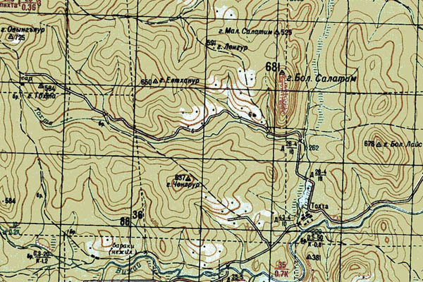Уменьшенный фрагмент представленной топографической карты P-40-29_30 - Trasa.ru