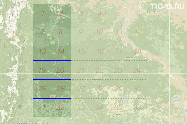 Набор топографических карт квадрата P-41 - Trasa.ru