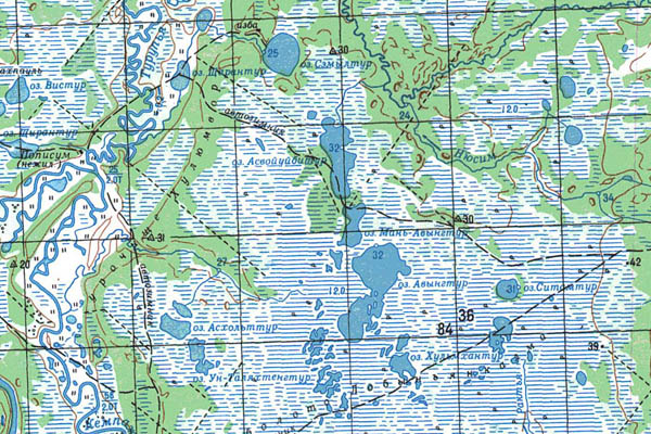 Уменьшенный фрагмент представленной топографической карты P-41-01_02 - Trasa.ru