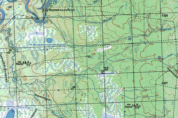 Уменьшенный фрагмент представленной топографической карты P-41-07_08 - Trasa.ru