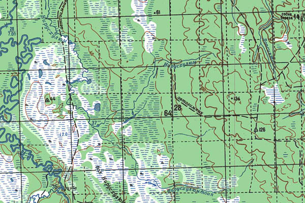 Уменьшенный фрагмент представленной топографической карты P-41-19_20 - Trasa.ru