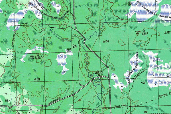 Уменьшенный фрагмент представленной топографической карты P-41-25_26 - Trasa.ru