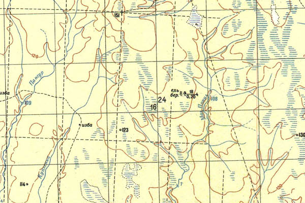 Уменьшенный фрагмент представленной топографической карты P-41-31_32 - Trasa.ru