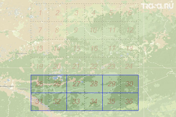 Набор топографических карт квадрата P-44 - Trasa.ru