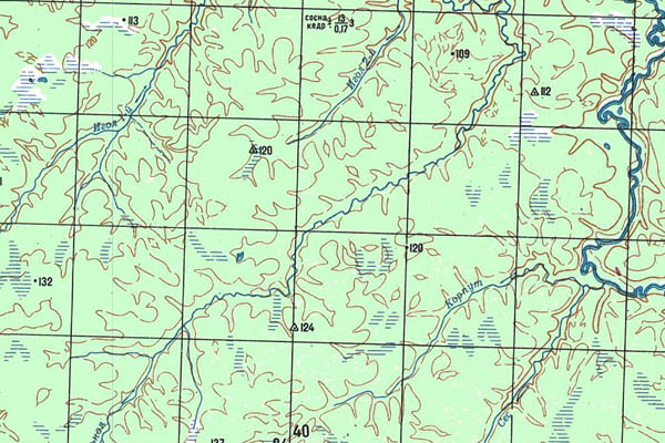 Уменьшенный фрагмент представленной топографической карты P-44-29_30 - Trasa.ru