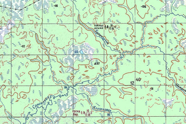 Уменьшенный фрагмент представленной топографической карты P-44-33_34 - Trasa.ru