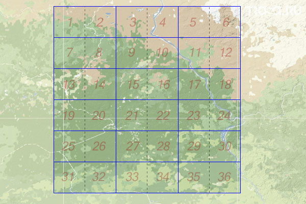 Набор топографических карт квадрата P-45 - Trasa.ru