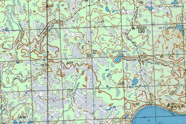 Уменьшенный фрагмент представленной топографической карты P-45-01_02 - Trasa.ru