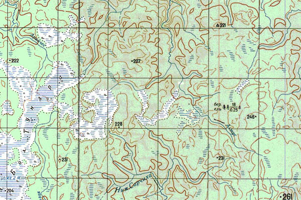 Уменьшенный фрагмент представленной топографической карты P-45-15_16 - Trasa.ru