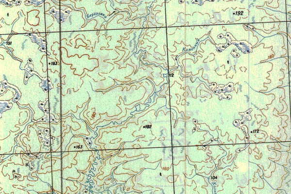 Уменьшенный фрагмент представленной топографической карты P-45-19_20 - Trasa.ru
