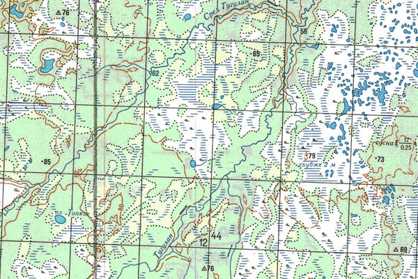 Уменьшенный фрагмент представленной топографической карты P-45-35_36 - Trasa.ru