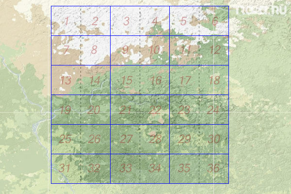 Набор топографических карт квадрата P-46 - Trasa.ru