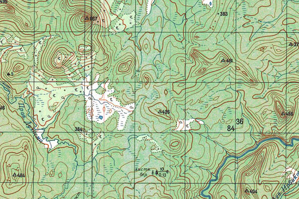 Уменьшенный фрагмент представленной топографической карты P-46-03_04 - Trasa.ru