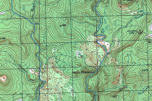 Уменьшенный фрагмент представленной топографической карты P-46-13_14 - Trasa.ru